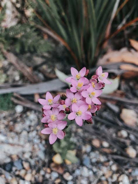 Shoppers are flocking to Roaring meg retail park this weekend 10