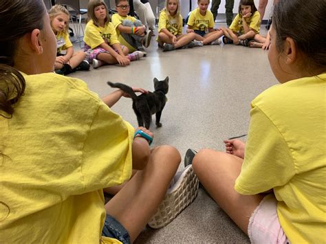 Volunteer opportunities at humane society of nw louisiana explained fully 5