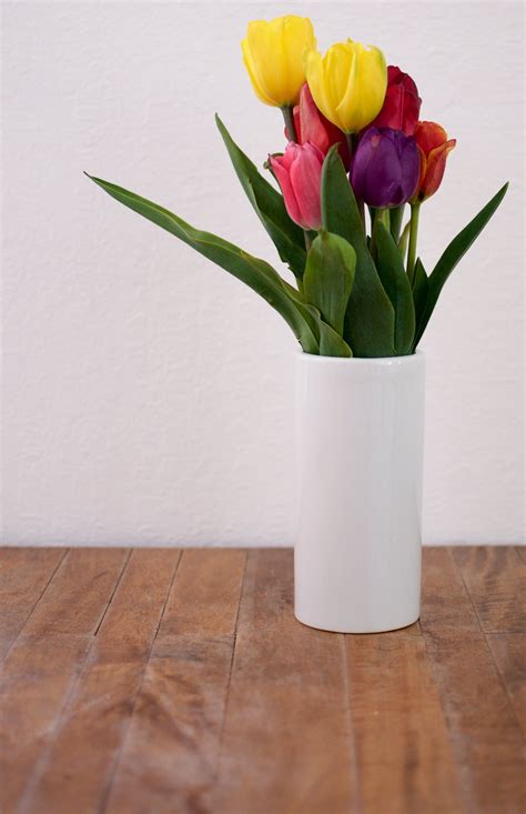 How to Keep Tulips From Drooping | PS Home