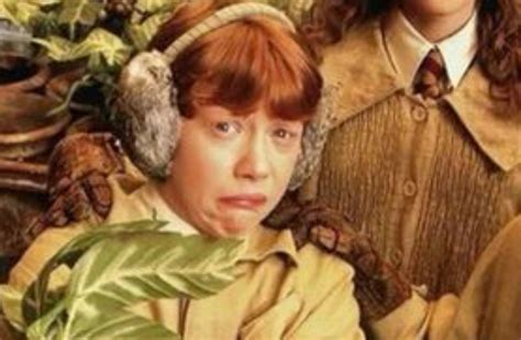 Pin by James Jarcia on viral stories | Harry potter cast, Harry potter