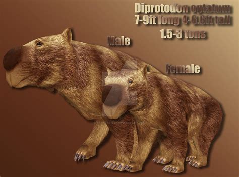 diprotodon profile  yappartiste  deviantart