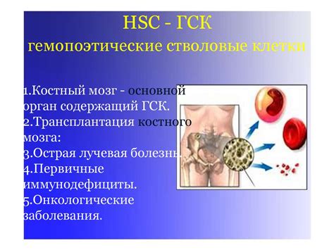 Иммунная система - презентация онлайн