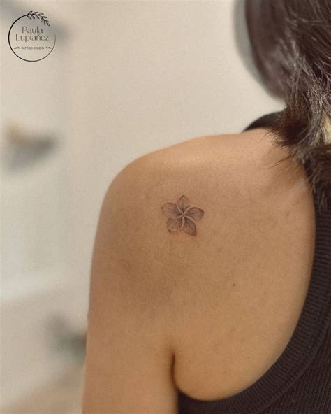 small plumeria tattoos  plumeria tattoo meaning  design ideas