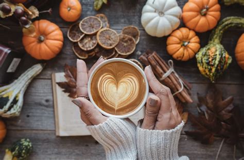 delicious fall inspired coffee drinks  sip  season secret san
