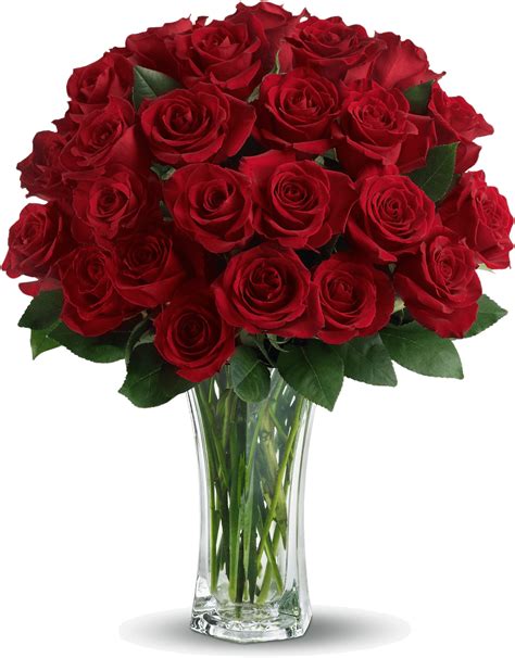 Valentines Day Rose, Romance, Gift, Love, Flowers PNG
