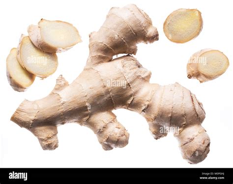 fresh ginger rhizome  ginger root isolated  white background stock