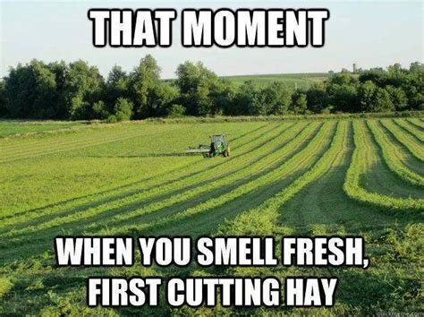 Best Farming Memes