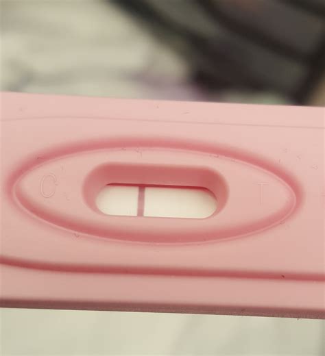 Pregnancy Tests From Dollar Tree at Rita Clark blog
