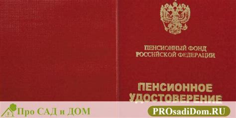 Как выглядит пенсионное удостоверение в 2025 году: и как его получить