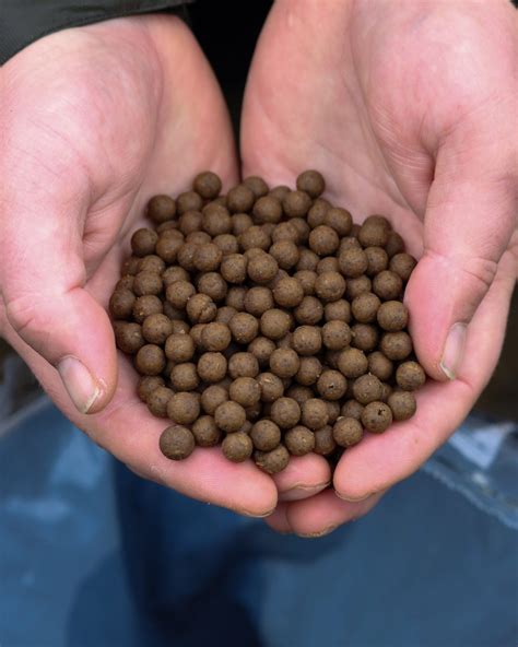 kg mm boilie package expert carp quality