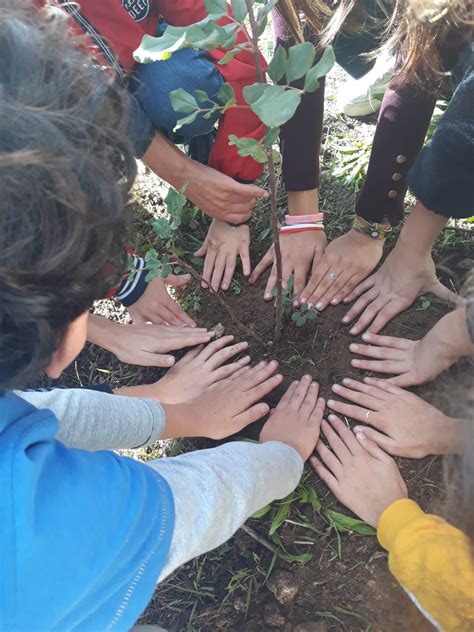 Piantare alberi per salvare il pianeta – Il Punto Quotidiano