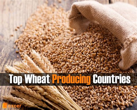 Top Wheat Producing Countries, The Top 7 Countries