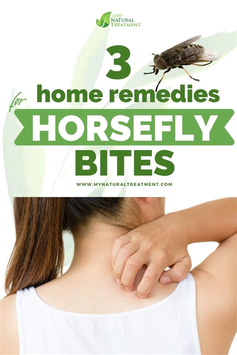 3 Quick Home Remedies for Horsefly Bites - Horsefly Sting