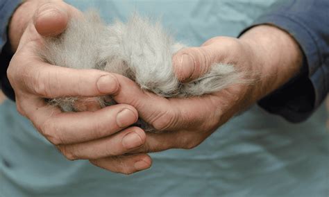 how to stop cats from shedding so much