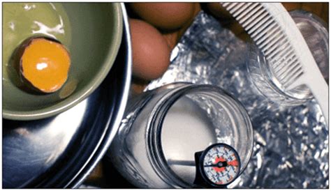 denaturation  proteins  examples procedure  protein denature