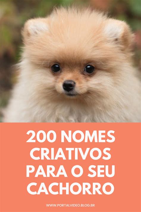 Nomes Chiques Para Cachorro - 200 nomes criativos para o seu cachorro | Cachorro, Nomes criativos ...