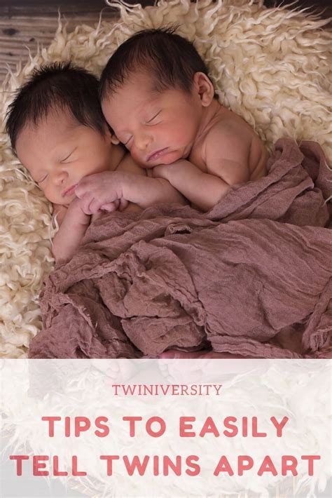 easily   identical twins  gentle sleep training