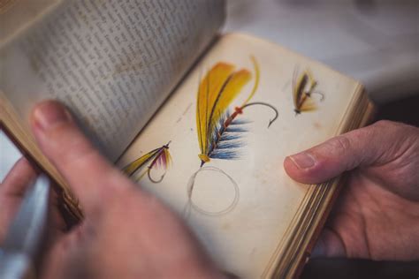 documentary filmmaker patrick tillard