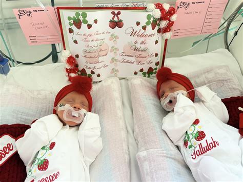 The surprising check inmate nyc feature that helps families stay connected