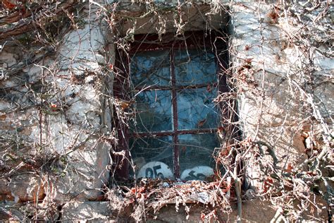 Free Images : tree, snow, winter, dry, ice, ivy, season, ruins, old