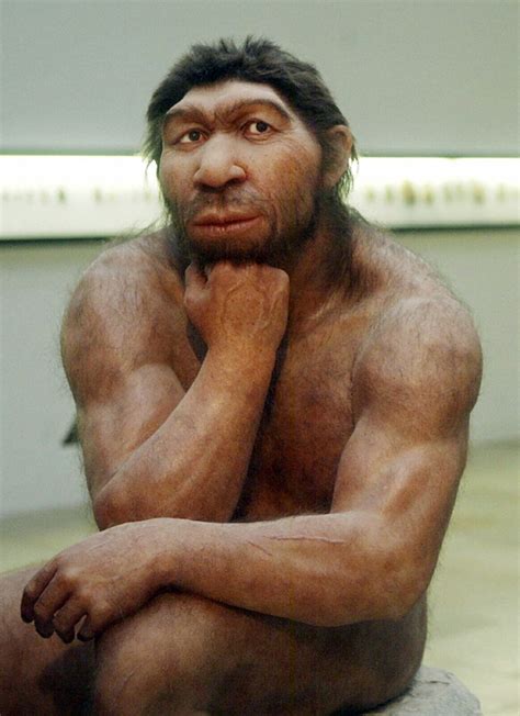 neanderthal males  popeye  arms