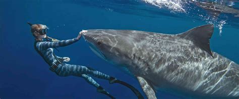 Ocean Ramsey Recalls Coming Face-to-Face with Shark Underwater