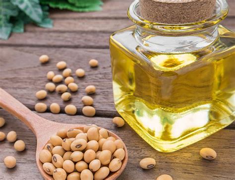 Bulk Organic Soy Lecithin Powder Wholesale Manufacturer Supplier | Pekhill