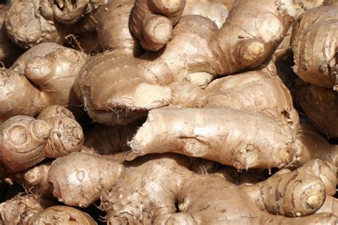 ginger  bag mary valley country harvest  operative