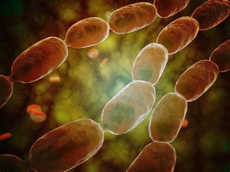 Microscopic view of bacterial pneumonia. Bacterial pneumonia is a type ...