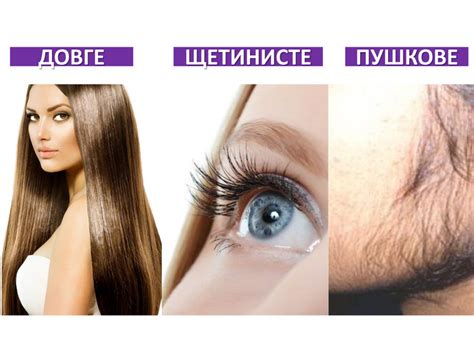 Інтегроване заняття "Будова волосся"