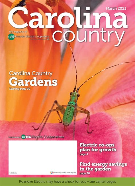 Lane Lindell Kings Of Leon