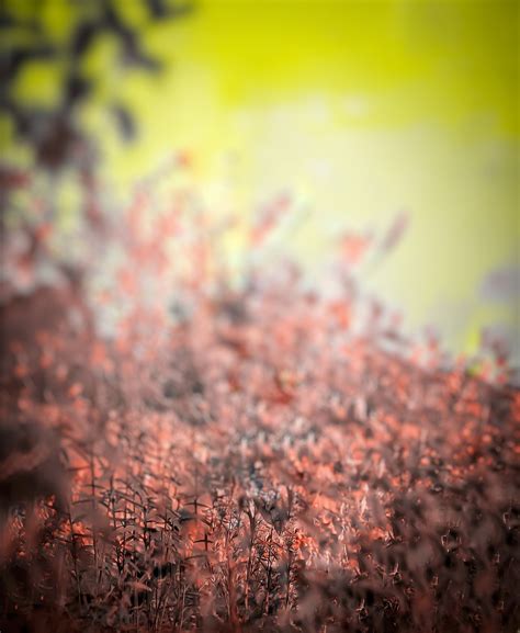 modify picture background 9