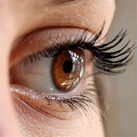 China General Health Factory, General Health Supplier