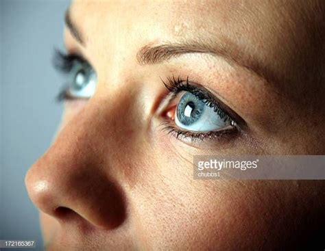 worlds  human eye stock pictures eye health eye sight