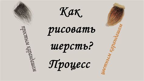 Как РИСОВАТЬ ШЕРСТЬ цветными и простыми карандашами ПРОЦЕСС - YouTube