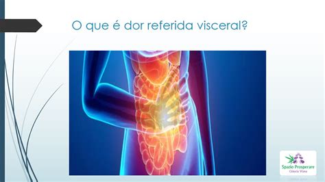 O Q Significa Visceral - Gláucia Viana: O que é dor referida visceral e por que você deve ...