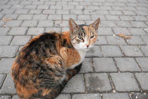 Ash+Kash+Takes+Back+Shots Photos, Download The BEST Free Ash+Kash+Takes