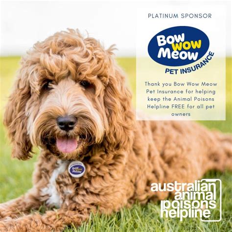 bow wow meow pet insurance supporting animal poisons helpline