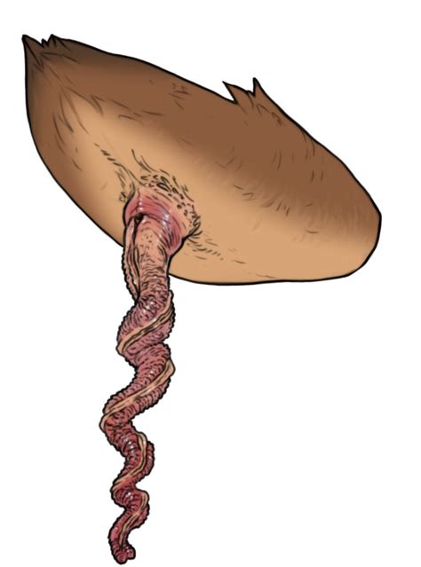 Rule 34 - alpha channel anatid anatid penis anatomically correct