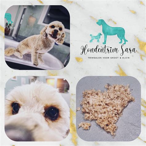 Hondentrim Sara | Burst