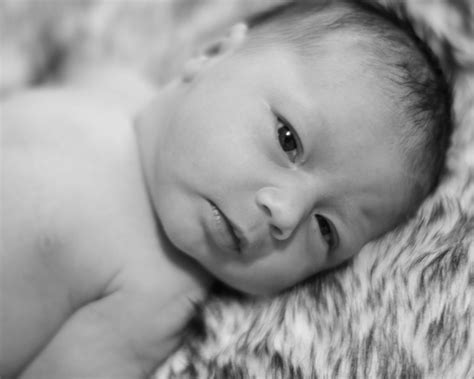 Bellies & Babies – Chrissy Marie Photography