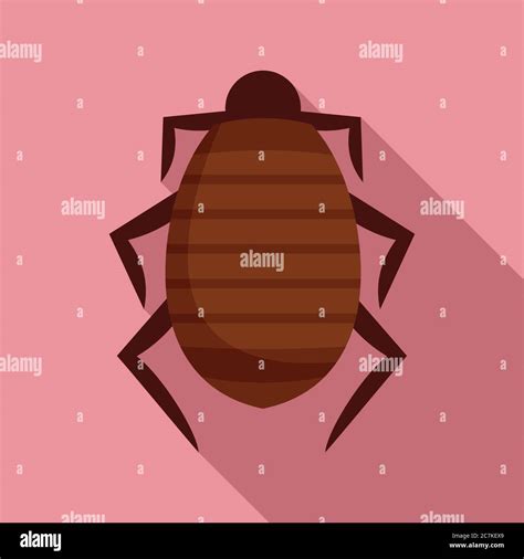 mite icon flat illustration  mite vector icon  web design stock