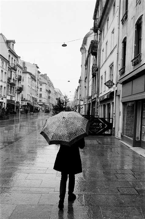 Sophie Rain Photos, Download The BEST Free Sophie Rain Stock Photos