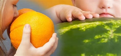 Nature's Secret Code: How to Pick Perfectly Ripe Fruit Every Time ...