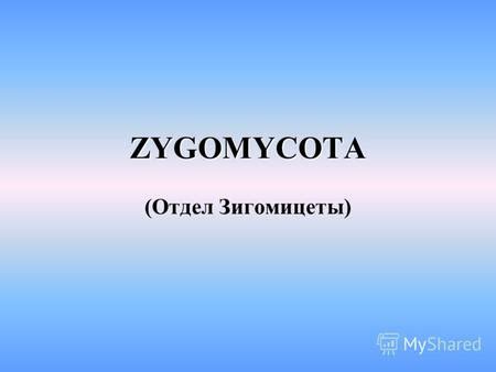 Презентация на тему: "ZYGOMYCOTA (Отдел Зигомицеты). План: 1. Общая ...