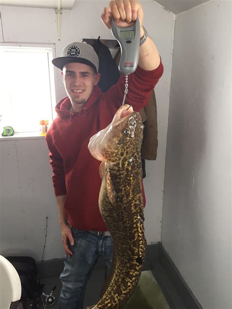 Giant burbot snapped my walleye pole : IceFishing