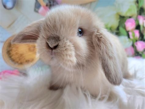 Stajnia Zagroda - Stajnia Zagroda added a new photo.