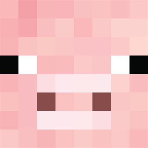how to get a minecraft head 4