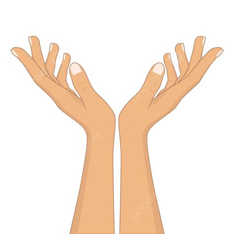 hands facing  vector  hands facing  hands praying png