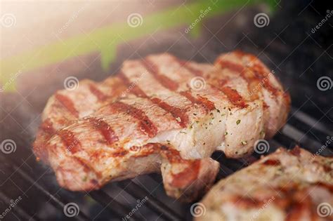 carne de cerdo  la parrilla picnic de carne  cocinar imagen de